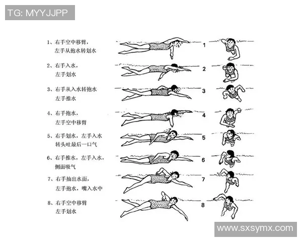 提升自由泳技巧必看视频，教你从基础到进阶完美突破技巧，轻松掌握流畅泳姿